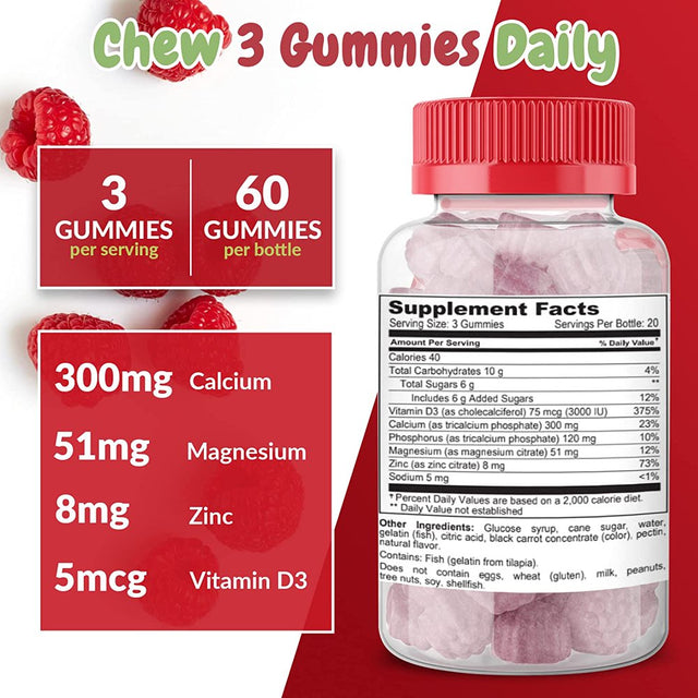 Health Supplied Calcium Magnesium & Zinc + Vitamin D Gummies 2 Pack | Bone Health Energy and Muscle Function | Fruity Raspberry Flavor