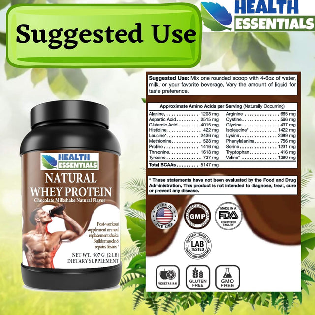 Natural Whey Protein, 28 Servings, Chocolate Milkshake, Post-Workout Supplement or Meal Replacement Shake, Whey Protein Powder Chocolate, Whey Isolate Protein Powder, Made in USA