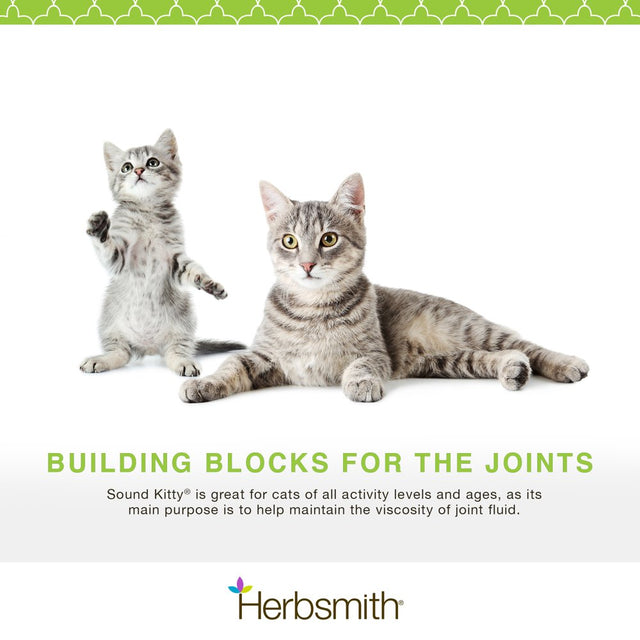 Herbsmith Sound Kitty – 5-In-1 Joint Care for Cats with Chondroitin, Glucosamine & MSM- Natural Joint Pain Relief for Cats – 75G