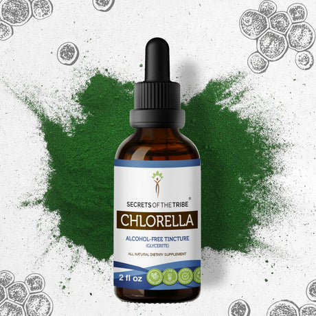 Chlorella Tincture Alcohol-Free Extract, Organic Chlorella (Chlorella Vulgaris) Dried Algae 2 Oz