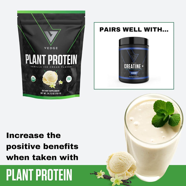 Vedge Certified Organic Plant Protein Vanilla Ice Cream (20 Servings) - Plant-Based Vegan Protein Powder, USDA Organic, Gluten Free, Non Dairy Nutrition Plant Protein