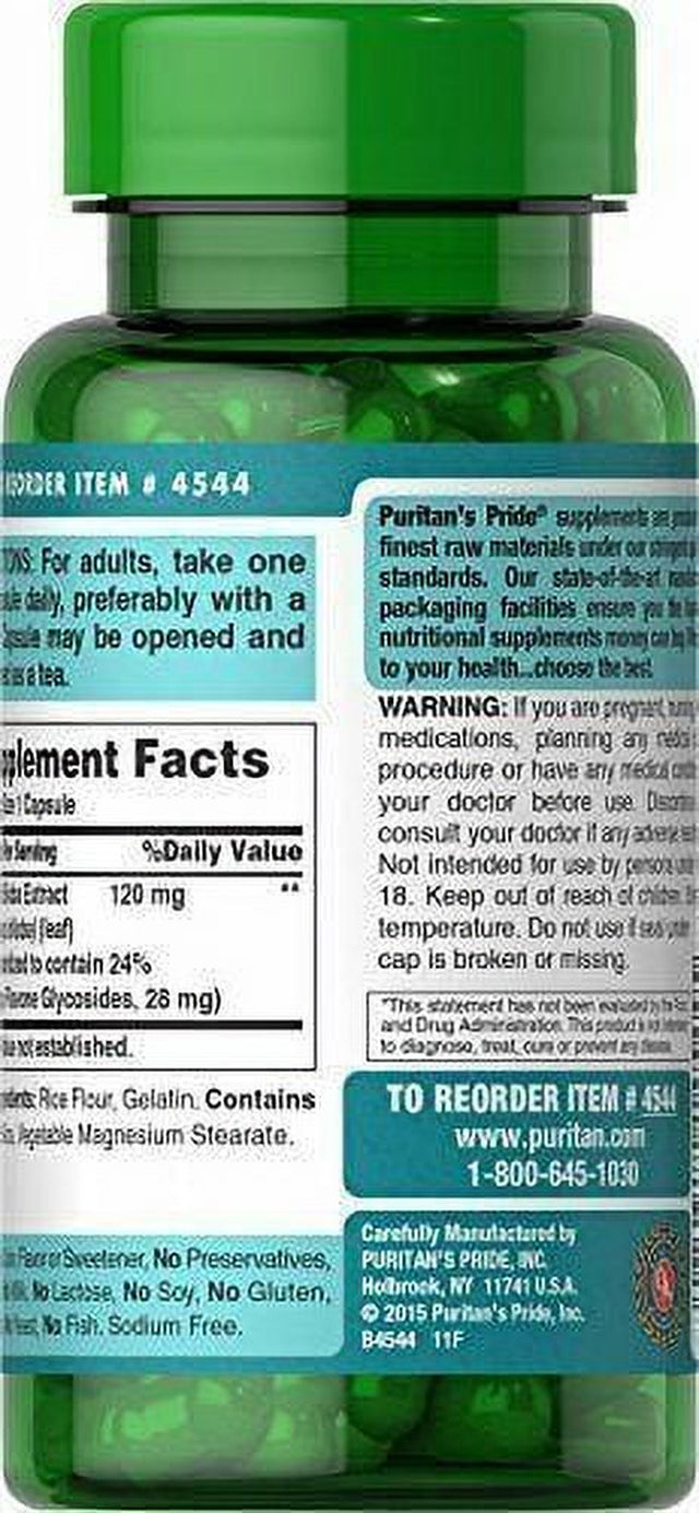 Ginkgo Biloba Standardized Extract 120 Mg - 100 Capsules Supports Brain Health