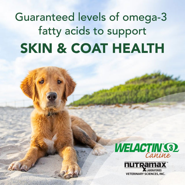 Welactin Omega-3 Skin & Coat Supplement for Dogs 120 Soft Gel