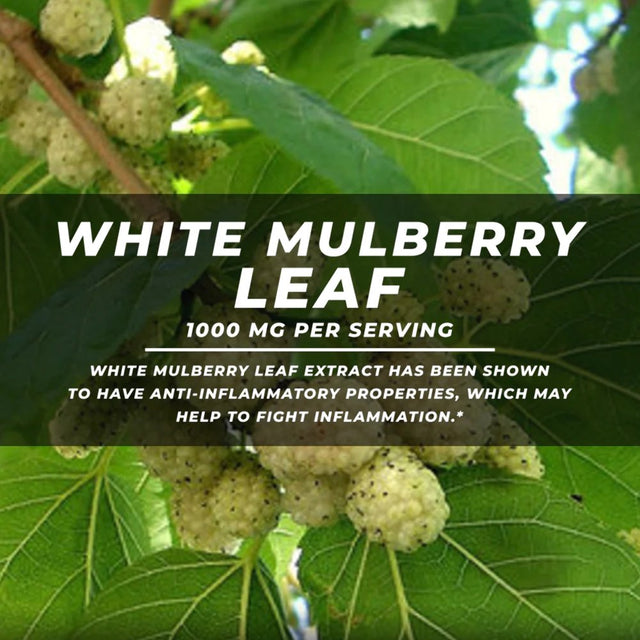 White Mulberry Leaf, 1000Mg Morus Alba Extract, 200 Capsules 100 Day Supply, Non-Gmo, Gluten Free