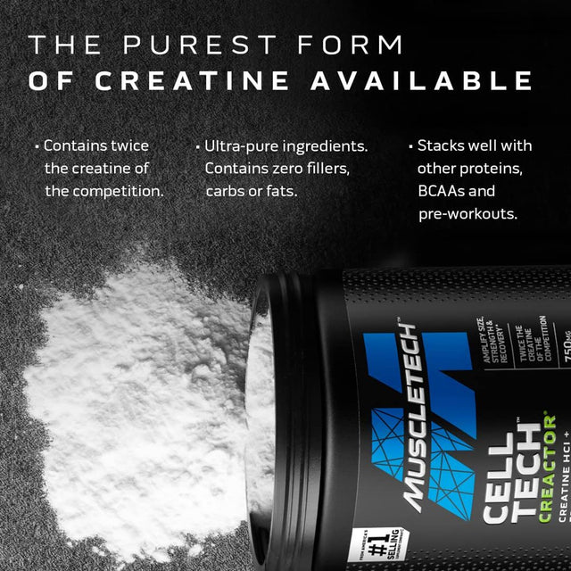 Creatine Powder | Muscletech Cell-Tech Creactor | Creatine Hcl Formula | Muscle Builder for Men & Women | Creatine Hcl + Free-Acid Creatine | Creatine Supplements | Blue Raspberry Blast, 120 Servings