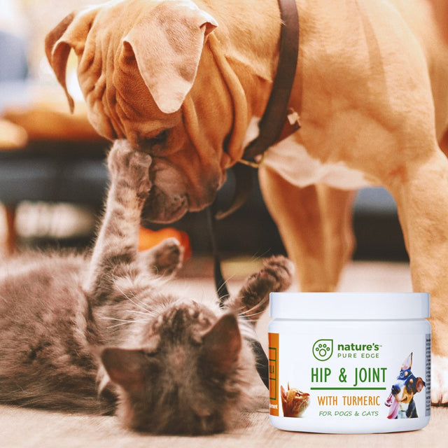 Nature'S Pure Edge Hip and Joint Support Supplement with Organic Turmeric, MSM, Sea Coral Calcium for Cats and Dogs, 170 G