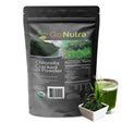 Chlorella Cracked Cell Powder 4 Oz | Organic Superfood Algae