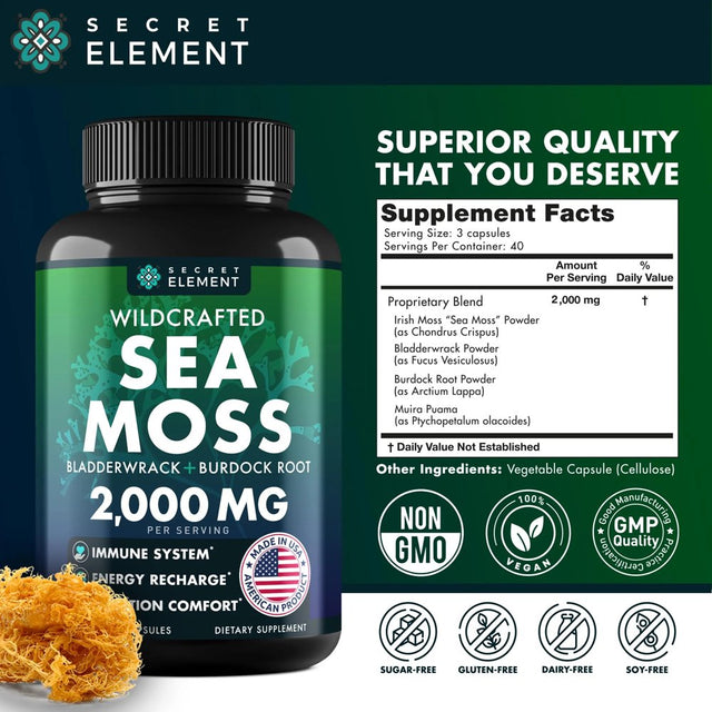 Sea Moss Capsules - Irish Sea Moss Advanced with Burdock Root, Bladderwrack Muira Puama for Immunity, Gut, Energy - Superfood Sea Moss Supplements W/Raw Sea Moss Powder - 120 Irish Seamoss Pills