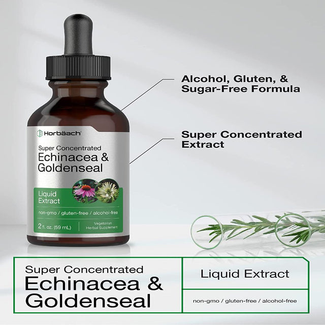 Echinacea Goldenseal Liquid Extract | 2 Fl Oz | Alcohol Free Tincture Drops | by Horbaach