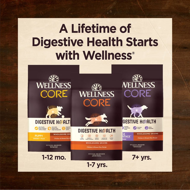 Wellness CORE Digestive Health Senior Dry Dog Food with Grains, 4 Pound Bag, Age Advantage 7+ Years Old, Chicken Dog Food, Sensitive Stomach