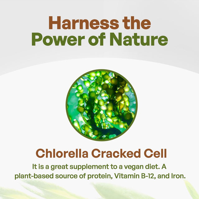 Chlorella Cracked Cell Powder 4 Oz | Organic Superfood Algae