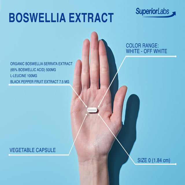 Superior Labs Boswellia Extract - Pure Nongmo Boswellic 65% Acids W/Bioperine Superior Absorption Zero Synthetic Additives - Powerful Formula Joint, Knees, Hips, Migraine, Immune, - 500Mg Svg, 240 Veg