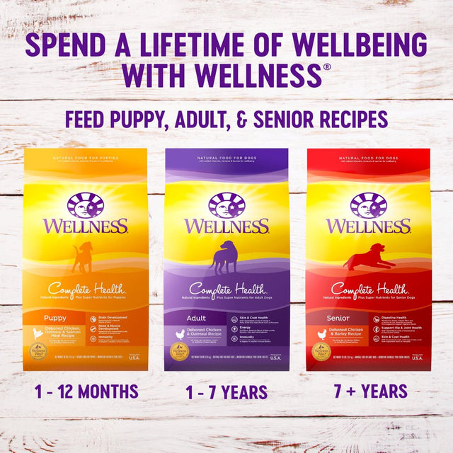 Wellness Complete Health Natural Dry Puppy Food, Chicken, Salmon & Oatmeal, 30-Pound Bag