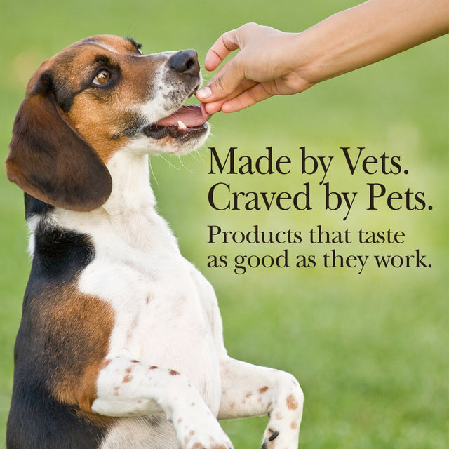 Nutri-Vet Grass Guard Chewables for Dogs