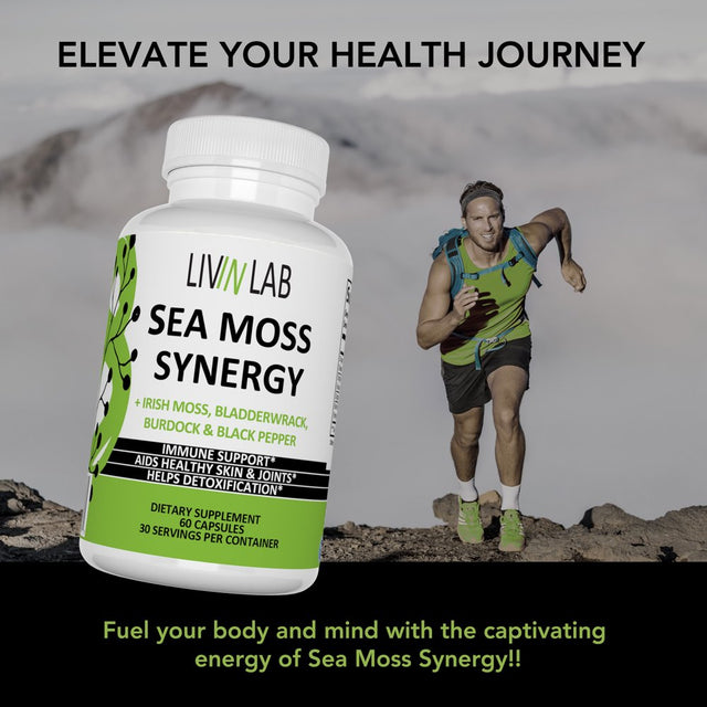 Livin Lab Sea Moss Synergy - Organic Irish Moss, Burdock Root, and Bladderwrack Capsules - Immune System, Gut Cleanse & Thyroid Supplement - All-Natural Sea Moss Powder