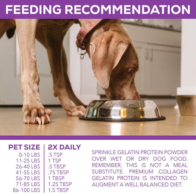 100% Collagen Protein for Dogs | Hip & Joint | Allergy Relief | Digestive Aid | Overall Health | 1 Lb 10 Oz