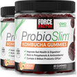 Force Factor Probioslim Kombucha Gummies, Peach for Digestive Health, Probiotics for Women and Men Made with 5 Billion Cfus, 60 Gummies (2 Pack) *EN