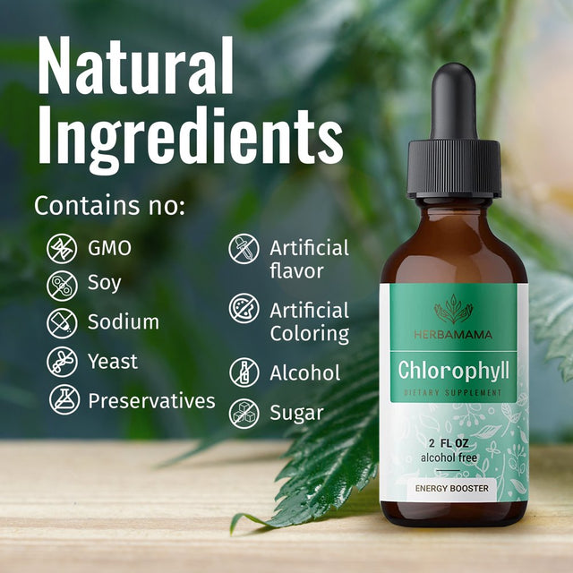 HERBAMAMA Chlorophyll Liquid Drops - Energy Booster, Digestion & Immune Support 2 Fl. Oz