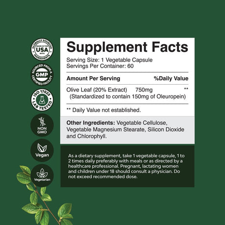 Potent Olive Leaf Extract Capsules - High Strength Antioxidant Supplement with Pure Olive Leaf with 20% Oleuropein - Herbal Heart Health Supplement - Vegan Non-Gmo & Gluten Free (2 Month Supply)