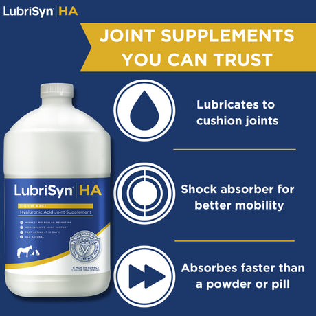 Lubrisynha Hyaluronic Acid Pet & Equine Joint Formula 128Oz - All-Natural, High-Molecular Weight Liquid Hyaluronan - Joint Support for Horses, Dogs, Cats - Promotes Healthy Joint Function, Made in USA