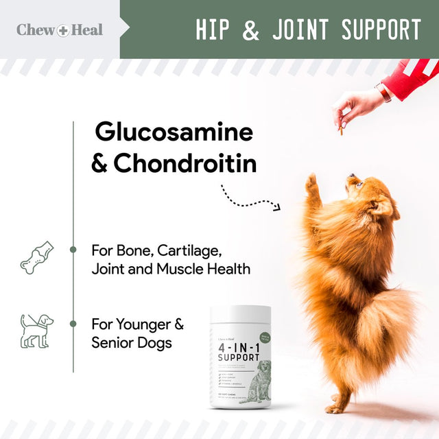 Chew + Heal All in 1 Dog Multivitamin (120 Soft Chews) Supplements for Skin, Coat, Hip and Joint Support