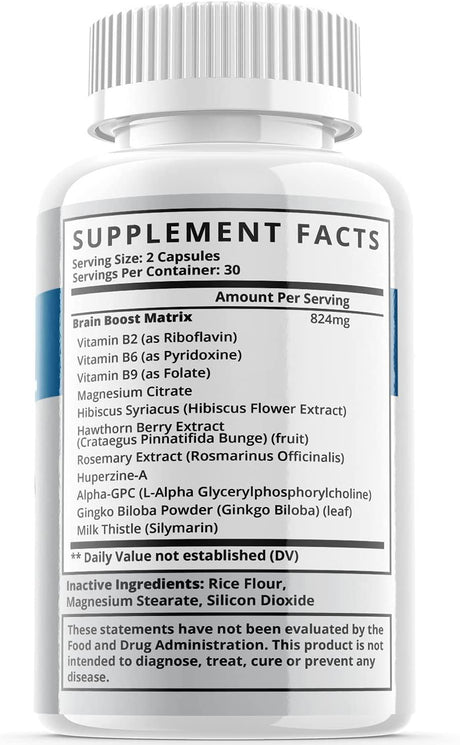 Neuronal - Brain Boost Matrix Supplement - Memory Booster Dietary Supplement for Focus, Memory, Clarity, & Energy - Advanced Cognitive Formula for Maximum Strength - 120 Capsules (2 Pack)