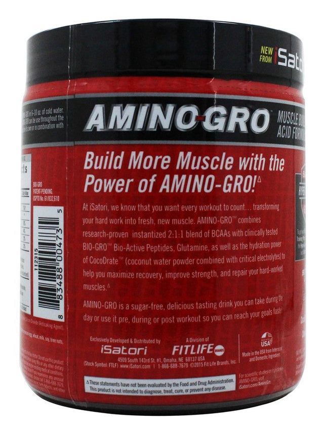 Isatori - Amino-Gro Muscle Building Amino Acid Formula Blue Razz Snow Cone - 9.52 Oz.