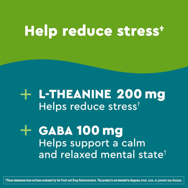 Nature Made Wellblends Stress Relief Gummies, L Theanine, GABA, Dietary Supplement, 34 Count