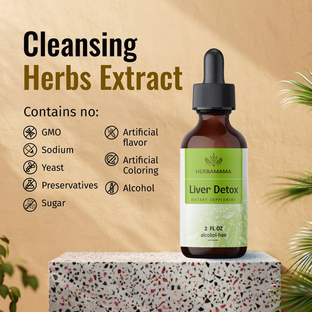 HERBAMAMA Liver Detox Liquid Extract - Liver, Kidney, Gallbladder & Immune Support - 2 Fl. Oz