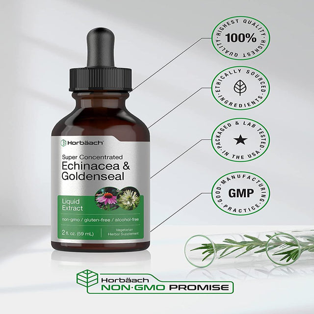 Echinacea Goldenseal Liquid Extract | 2 Fl Oz | Alcohol Free Tincture Drops | by Horbaach