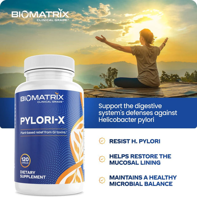 Biomatrix Pylori-X | Stomach and GI Support for H. Pylori Defense | Mastic Gum Berberine | Matula Tea Alternative (120 Caps)