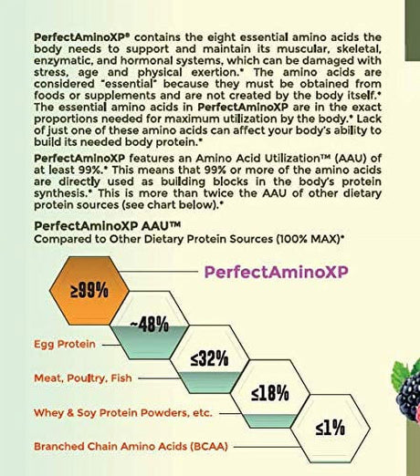 Bodyhealth Perfectamino XP Mixed Berry (60 Servings) Best Pre/Post Workout Recovery Drink, 8 Essential Amino Acids Energy Supplement with 50% Bcaas, 100% Organic, 99% Utilization for Maximum Power