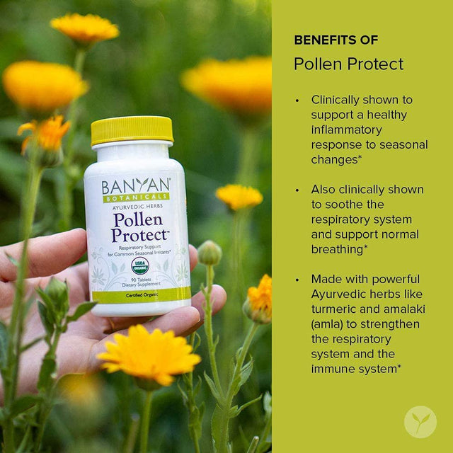 Banyan Botanicals Pollen Protect – Clinically Tested Organic Ayurvedic Supplement – for a Healthy Respiratory Response to Seasonal Irritants* – 90 Tablets – Non-Gmo Natural Sustainably Sourced Vegan