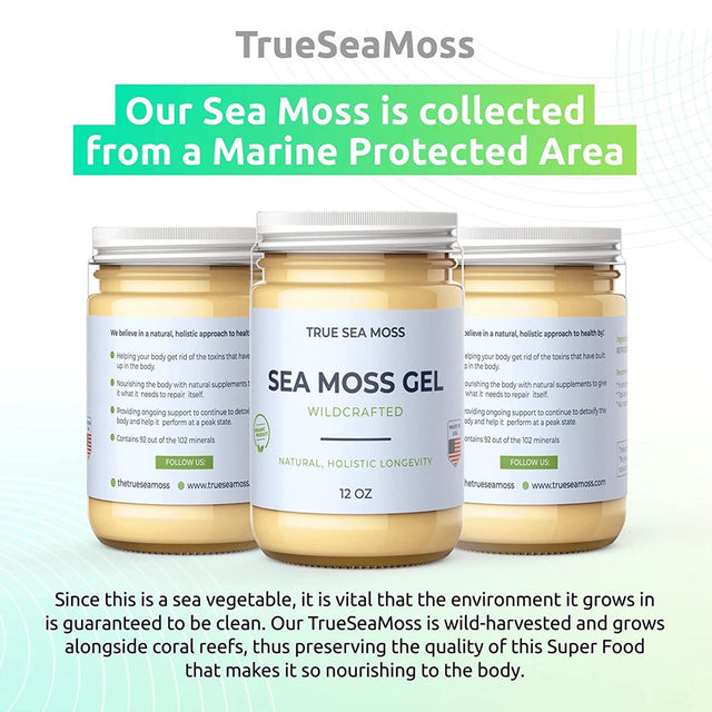 Trueseamoss Wildcrafted Irish Sea Moss Gel – Nutritious Raw Seamoss Rich in Minerals, Proteins & Vitamins – Antioxidant Health Supplement, Vegan-Friendly Made in USA (Elderberry, 5)