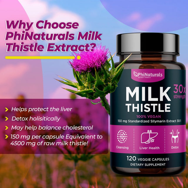 Milk Thistle Silymarin 30X Extract Supplement (Standardized 30:1) by Phi Naturals | 150 Mg per Capsule - 120 Capsules | Supports Liver Cleanse, Detox and More