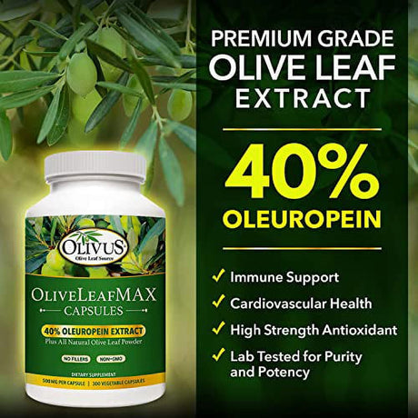 Oliveleafmax Olive Leaf Extract (40% Oleuroepin) + Organic Olive Leaf Powder + No Fillers + 300 Vegetarian Capsules + Sourced from Spain and Manufactured in USA at GMP Facility