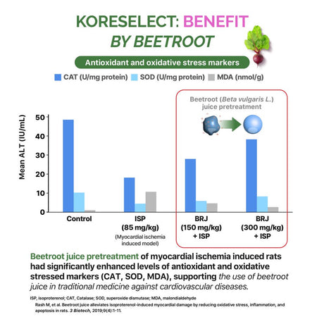 KORESELECT Beet Root Capsules with Vitamin E - Nitric Oxide Supplement Booster for Blood Circulation, Antioxidants Immune Support, Natural Athletic Performance, Wellness Formula - Vegan 60 Caps