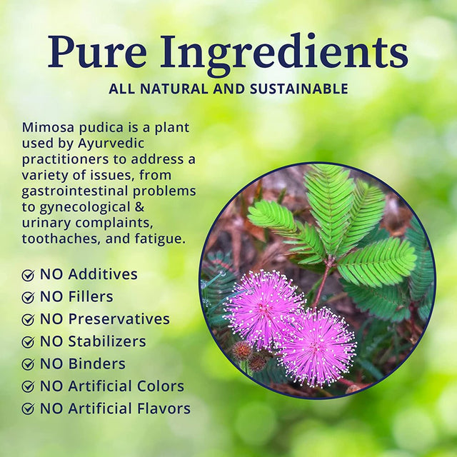 Biopure Mimosa Wildcrafted Organic Mimosa Pudica Powder to Eliminate Unwanted Organisms, Toxins, & Debris from Gastrointestinal Tract for Gut Health & Balanced Flora Proliferation & Microbiome 4Oz