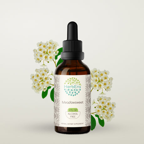 Meadowsweet Alcohol-Free Herbal Extract Tincture, Super-Concentrated Organic Meadowsweet (Filipendula Ulmaria) Dried Herb 2 Oz