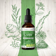 Liver Alcohol Extract, Tincture, Milk Thistle, Chicory, Turmeric, Yellow Dock, Boldo, Oregon Grape. Healthy Liver Formula 2 Oz