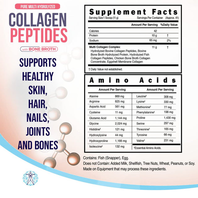 Source Biology Collagen Peptides with Bone Broth - Pure Hydrolyzed Multi Collagen, Types I, II, III, V, and X - 20 Grams of Protein per 2 Scoops