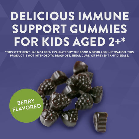 Nature'S Way Sambucus Elderberry Gummies with Vitamin C and Zinc for Kids, Immune Support*, Berry Flavored, 60 Gummies. (Pack of 1)