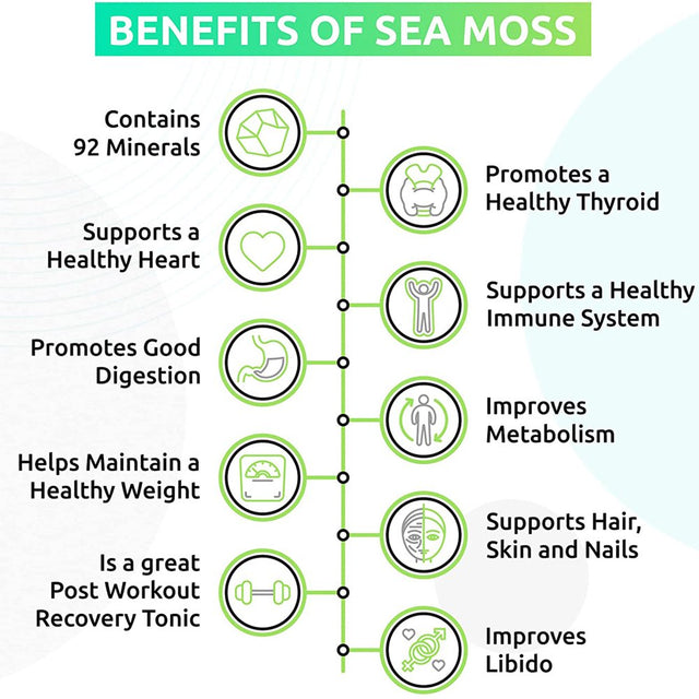 Trueseamoss Wildcrafted Irish Sea Moss Gel – Nutritious Raw Seamoss Rich in Minerals, Proteins & Vitamins – Antioxidant Health Supplement, Vegan-Friendly Made in USA (Strawberry, 5)