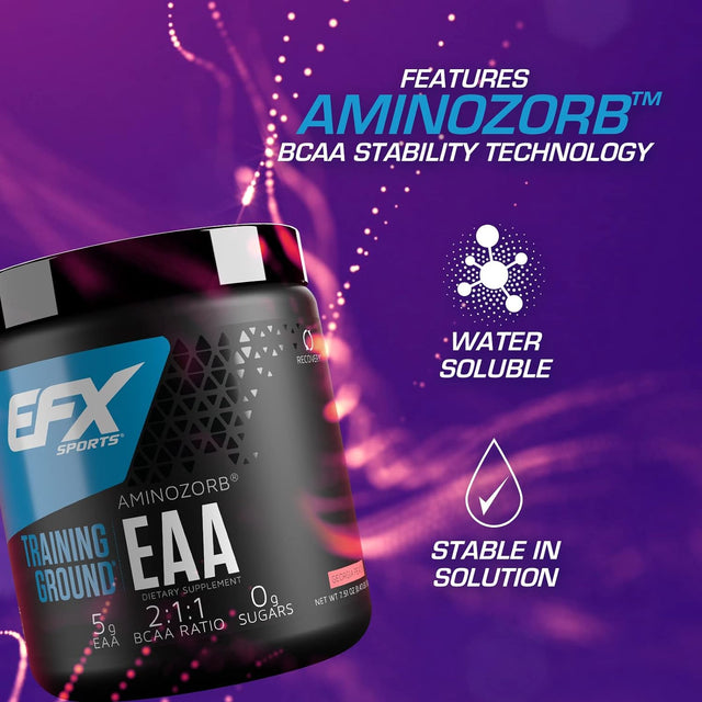 EFX Sports Training Ground EAA | Essential Amino Acids Supplement | Energy & Protein Synthesis | Pre, Intra, or Post Workout | 40 Servings (Georgia Peach)