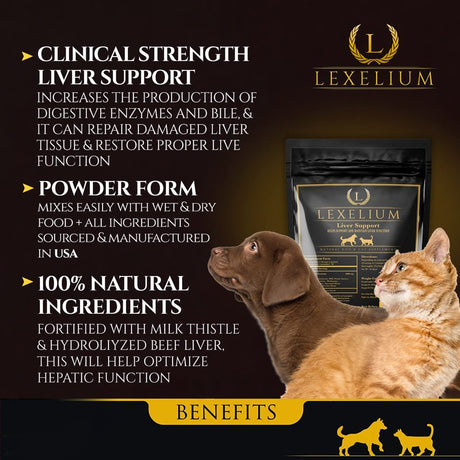 Lexelium Liver Support Supplement for Dogs and Cats - Great for Detoxing and Helps Kidney, Liver & Skin Function - Cat Liver Support - Milk Thistle + Lysine + Choline Bitartrate + Methionine - 200G