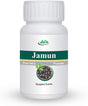 Jain'S Jamun Seed Powder - 100 GMS - Indian Ayurveda'S Pure Natural Herbal Supplement Powder