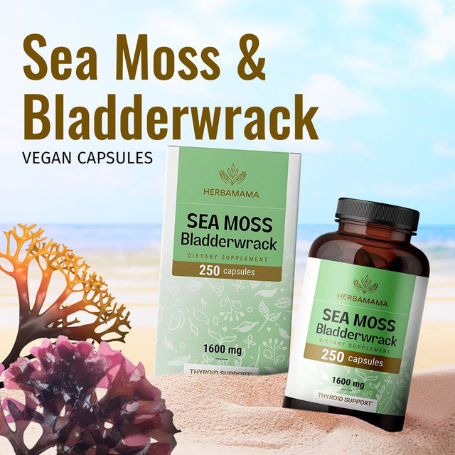 HERBAMAMA Sea Moss & Bladderwrack Capsules - Thyroid Support, Immune & Gut Health 250 Caps