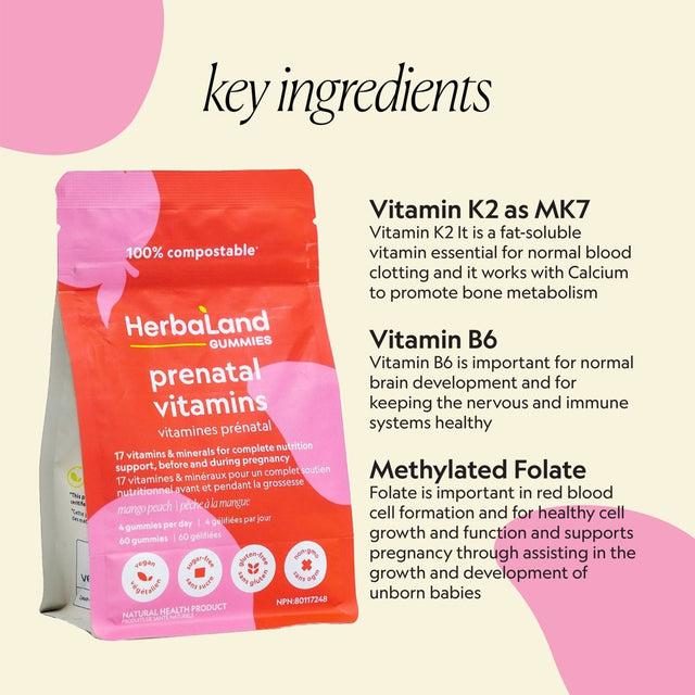 Herbaland - Prenatal Gummies - Vegan Multivitamin Supplement for Mothers before and during Pregnancy, Mango Peach Flavor