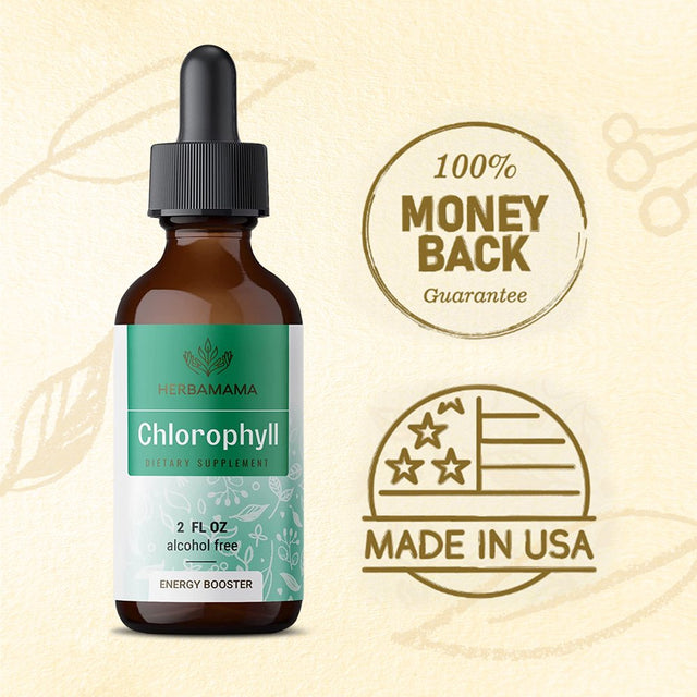 HERBAMAMA Chlorophyll Liquid Drops - Energy Booster, Digestion & Immune Support 2 Fl. Oz