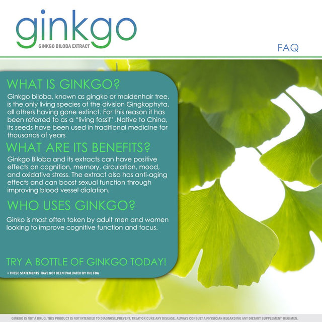 VH Nutrition Ginkgo Biloba 550Mg Supplement - Supports Brain Health, Mental Alertness, Concentration & Focus, Natural Energy Booster - 60 Capsules